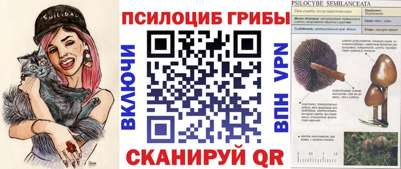 Псилоцибиновые грибы Psilocybine cubensis  Купить  Новороссийск 